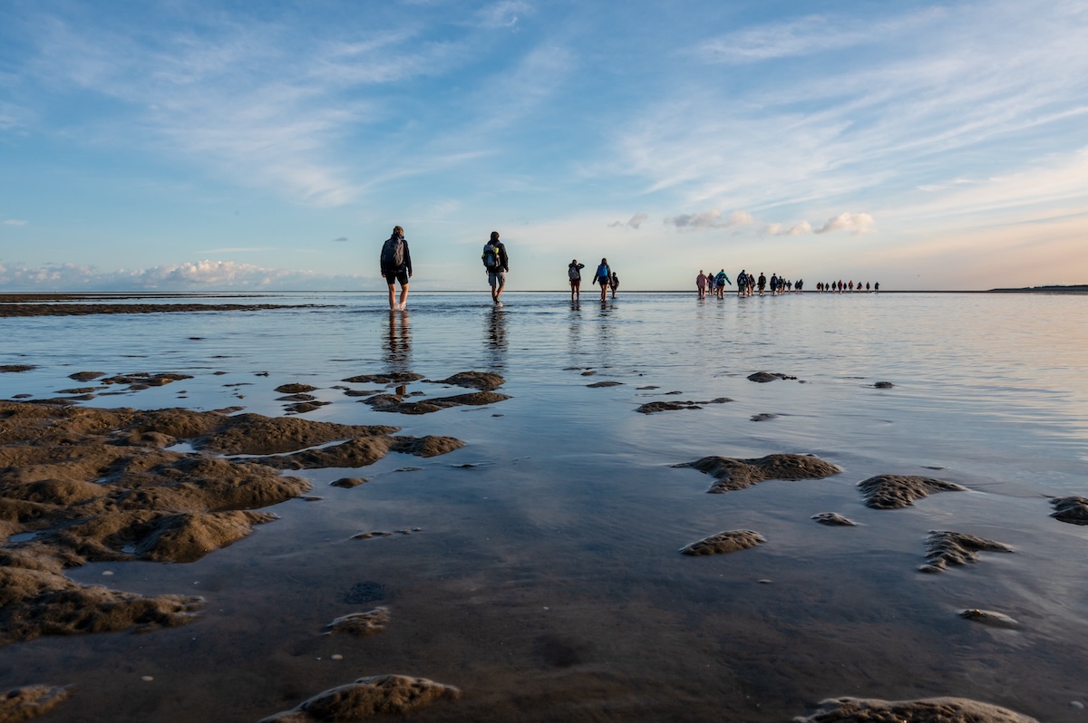 Wadden Sea
