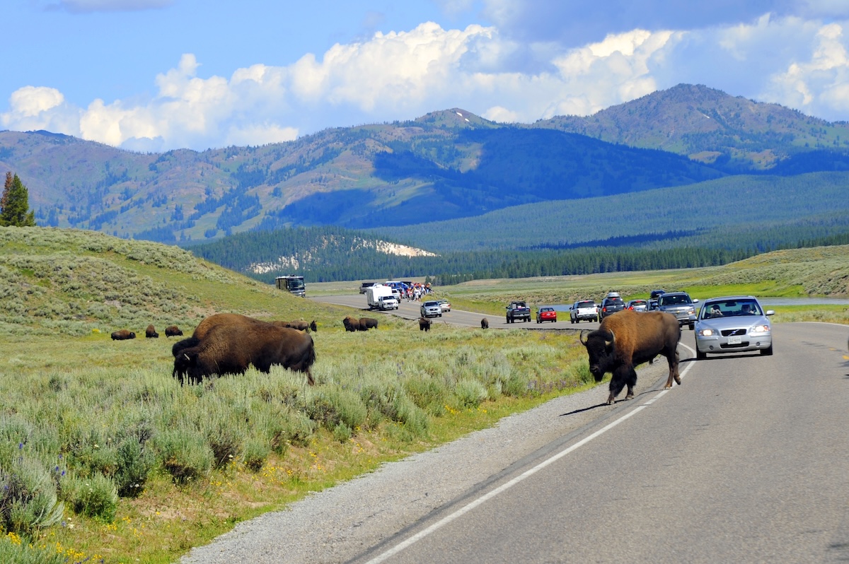 Yellowstone National Park