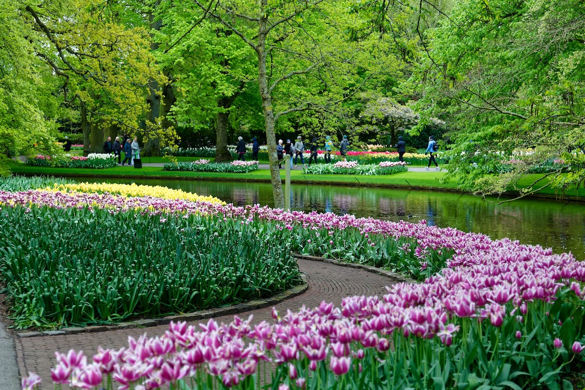 Keukenhof