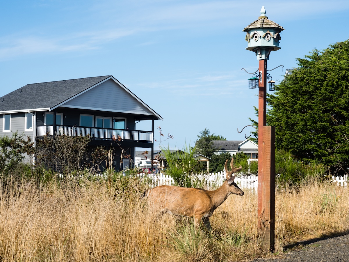 Ocean Shores