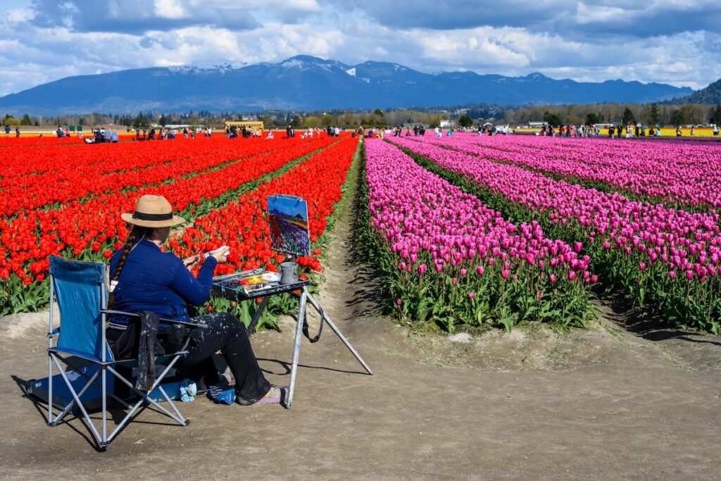 Skagit Valley