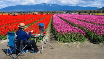 Skagit Valley