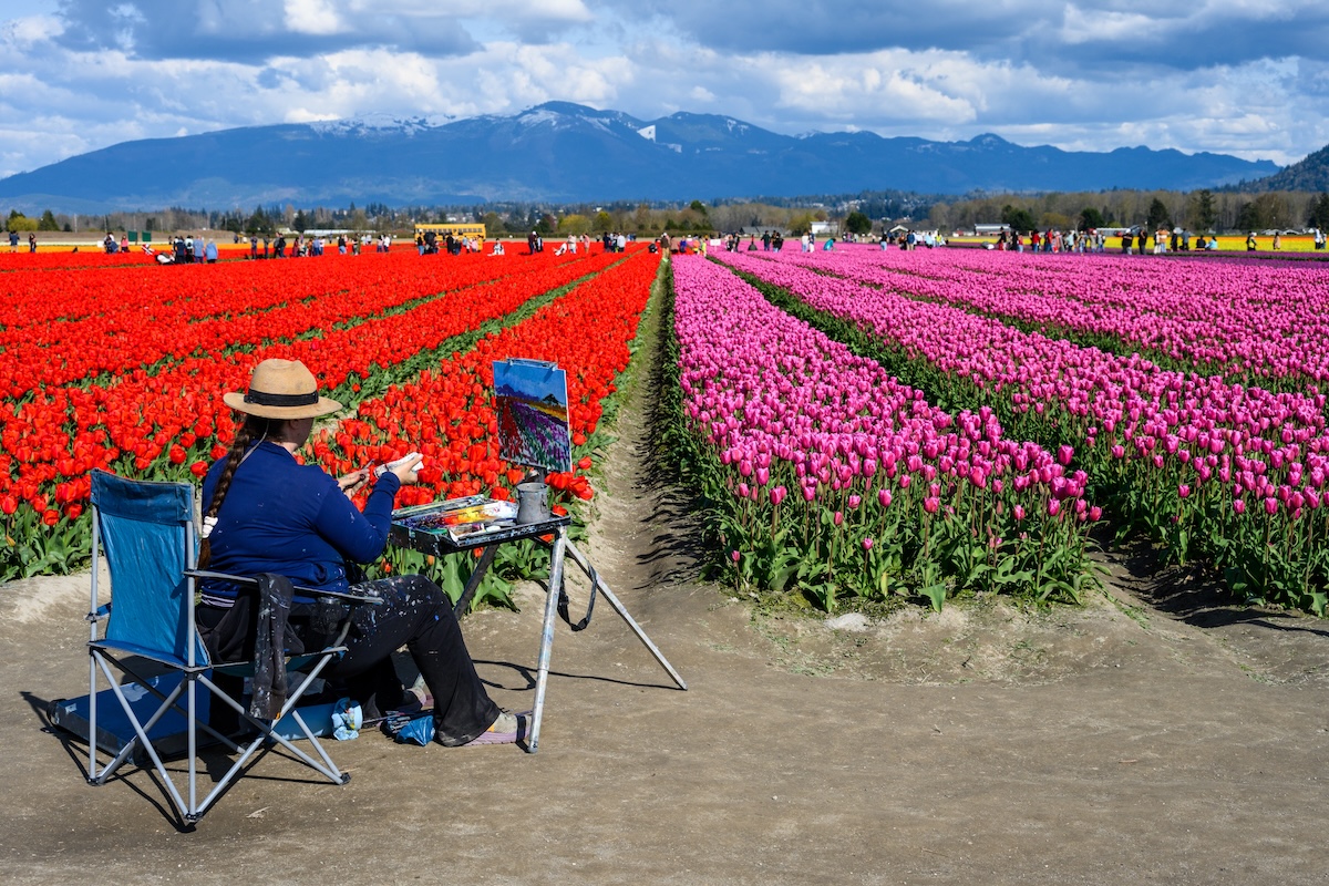 Skagit Valley