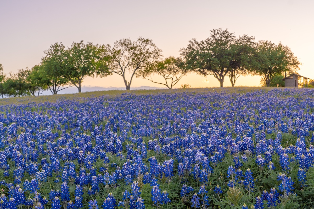 Texas Hill Country