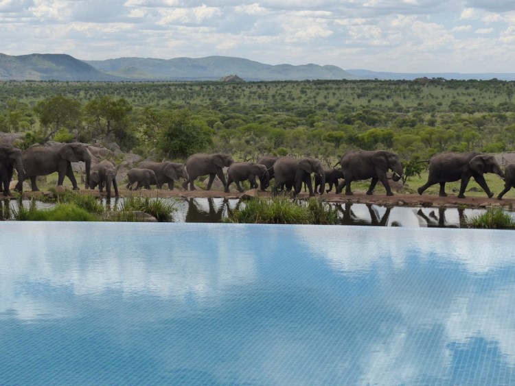 Piscina Four Seasons Safari Lodge