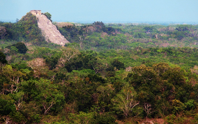 Mayan Ruins Jungle Skull Stretch Bracelet