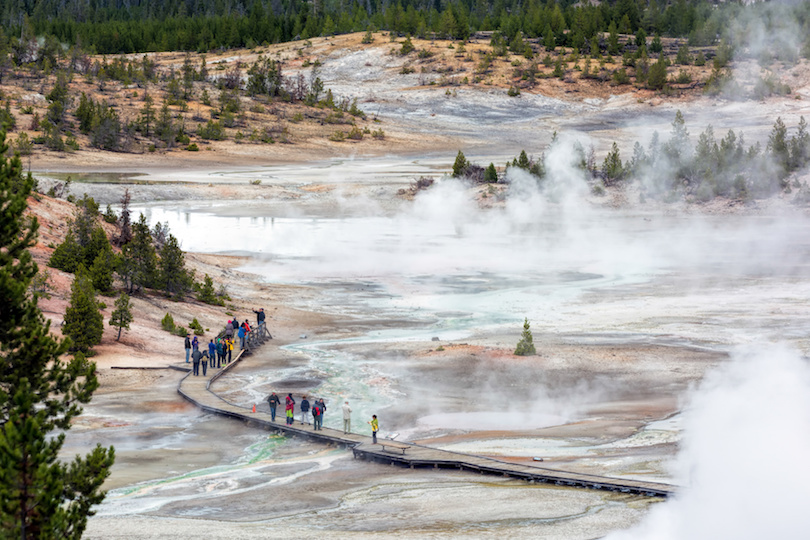 Norris Geyser Basin