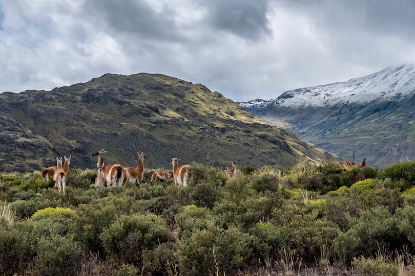 Patagonia Park
