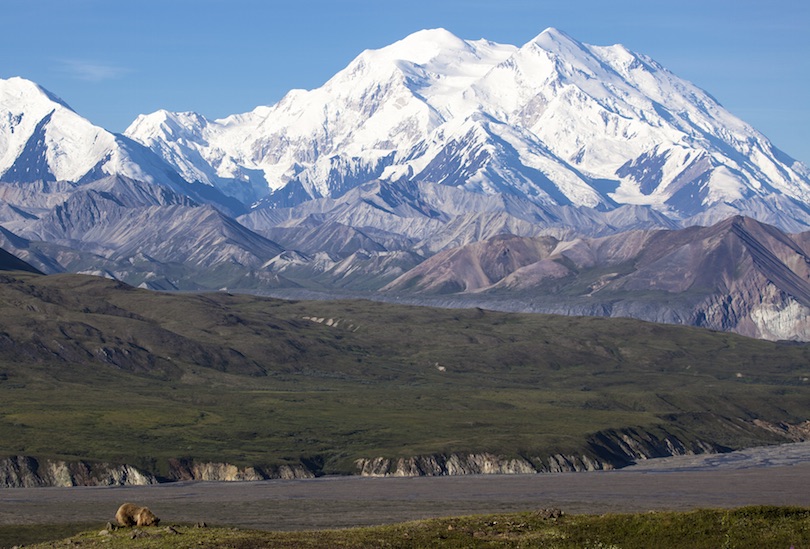 Denali National Park