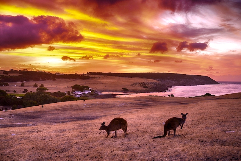 Kangaroo Island