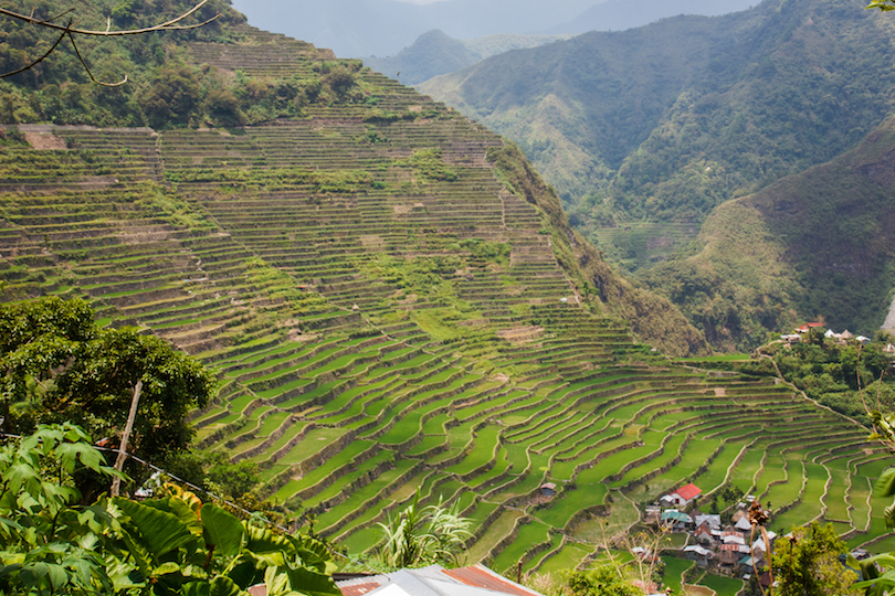 #1 of Largest Islands In The Philippines