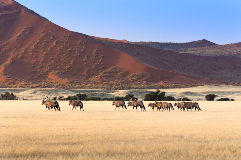 Namib-Naukluft National Park