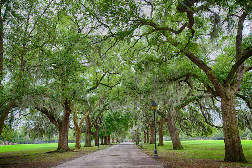 #1 of Best Places To Visit In Georgia State