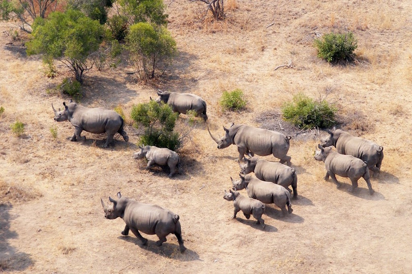 Kruger Nationalpark