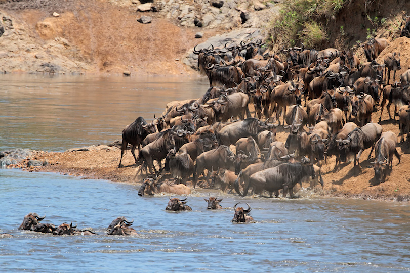 Masai Mara Ulusal Koruma Alanı