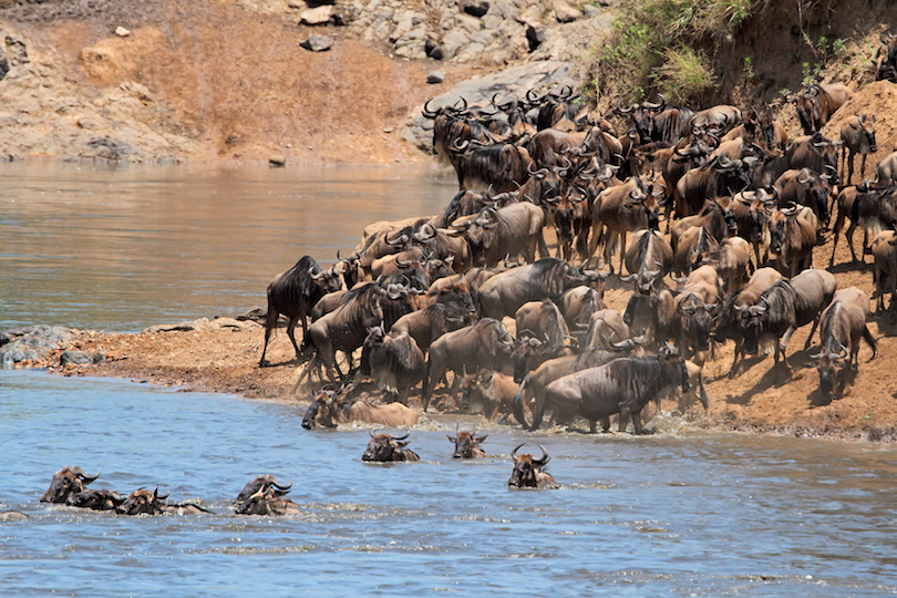 Masai Mara National Reserve