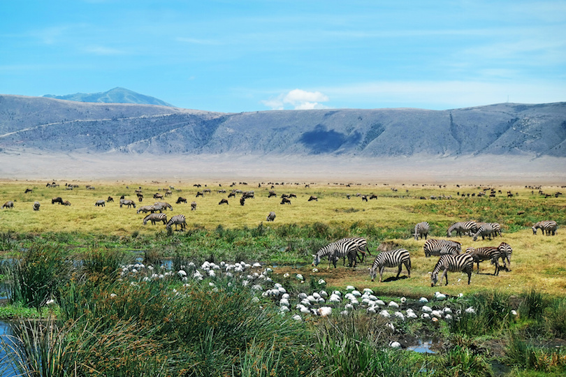 Ngorongoro-Schutzgebiet