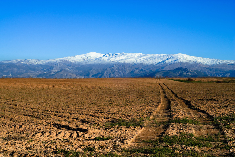 Sierra Nevada