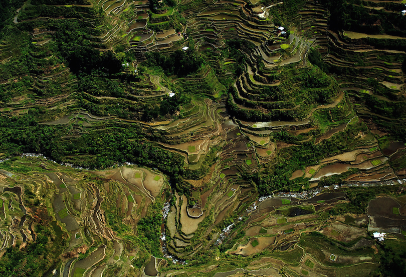 Banaue Rice Terraces