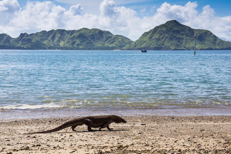 Komodo-Nationalpark