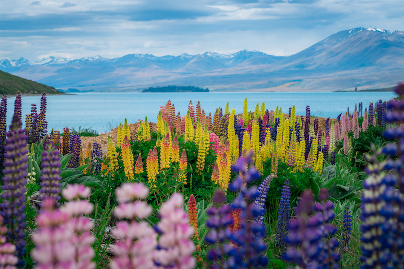 #1 of Lakes In New Zealand