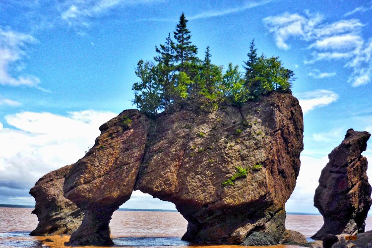 Hopewell Rocks Texture 15 Incredible Sea Arches around the World (with Map & Photos) - Touropia