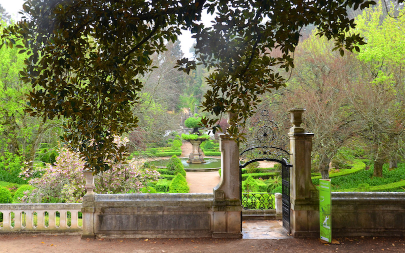 Botanischer Garten