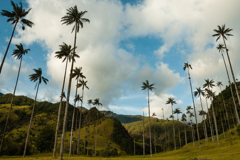 CUP N DESCUENTO AIRBNB COLOMBIA 245 000 COP Descuento Cr dito En CUP N DESCUENTO AIRBNB COLOMBIA 245 000 COP Descuento Cr dito En