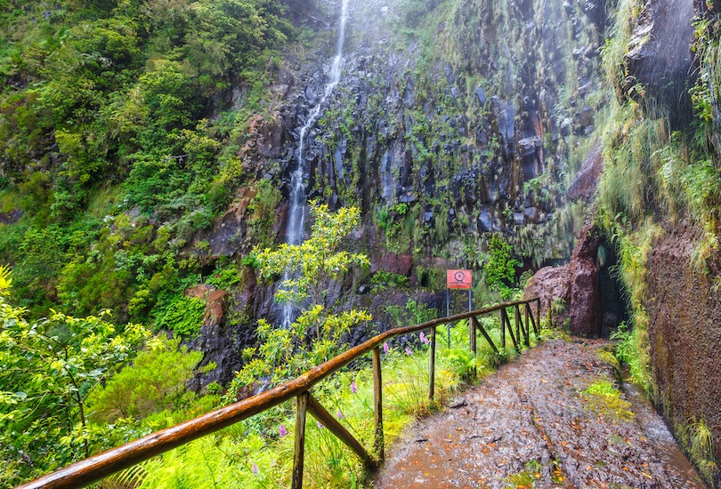 #1 der Touristenattraktionen auf Madeira