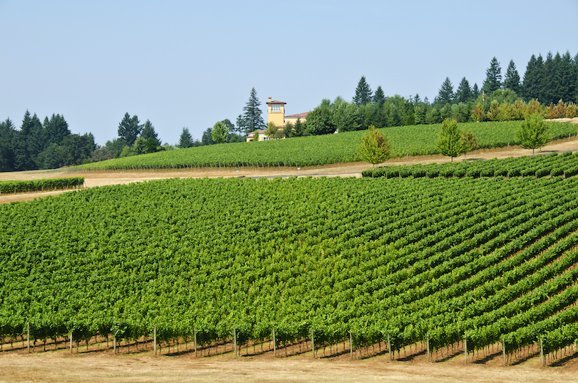 Willamette Valley Weinprobe